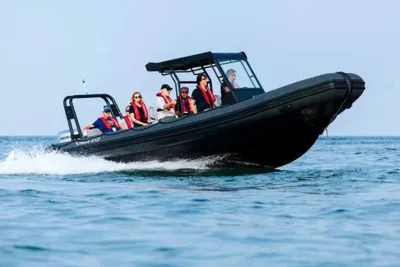 2026 Highfield Patrol 860