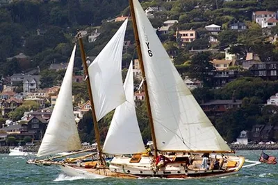 Schock Staysail Schooner