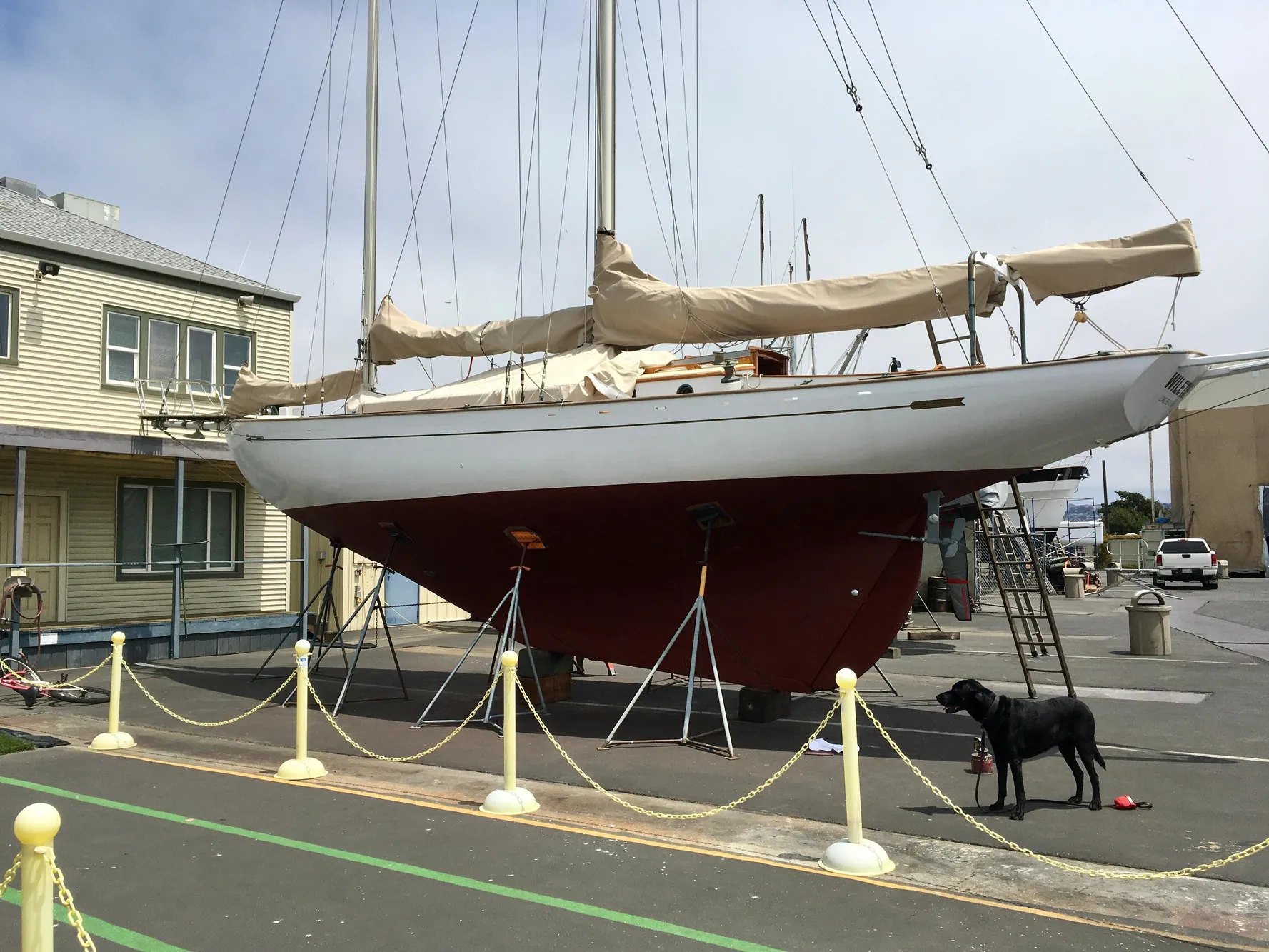 1927 Schock Staysail Schooner on dry dock with a dog nearby.