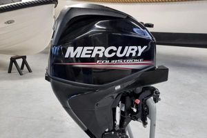 2021 Mercury F 25 EFI EL