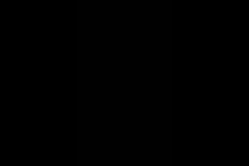 Video Placeholder
