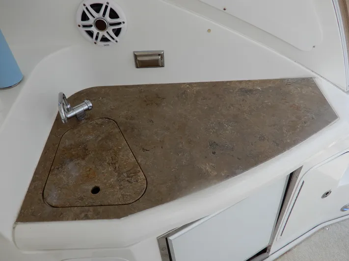  Yacht Photos Pics 2008 Cruisers Yachts 460 Express interior with countertop, sink, and speaker.