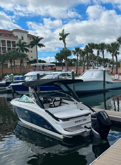 Double Trouble Yacht Photos Pics 2023 Sea Ray 260 SLX boat docked in a marina with palm trees and blue sky.