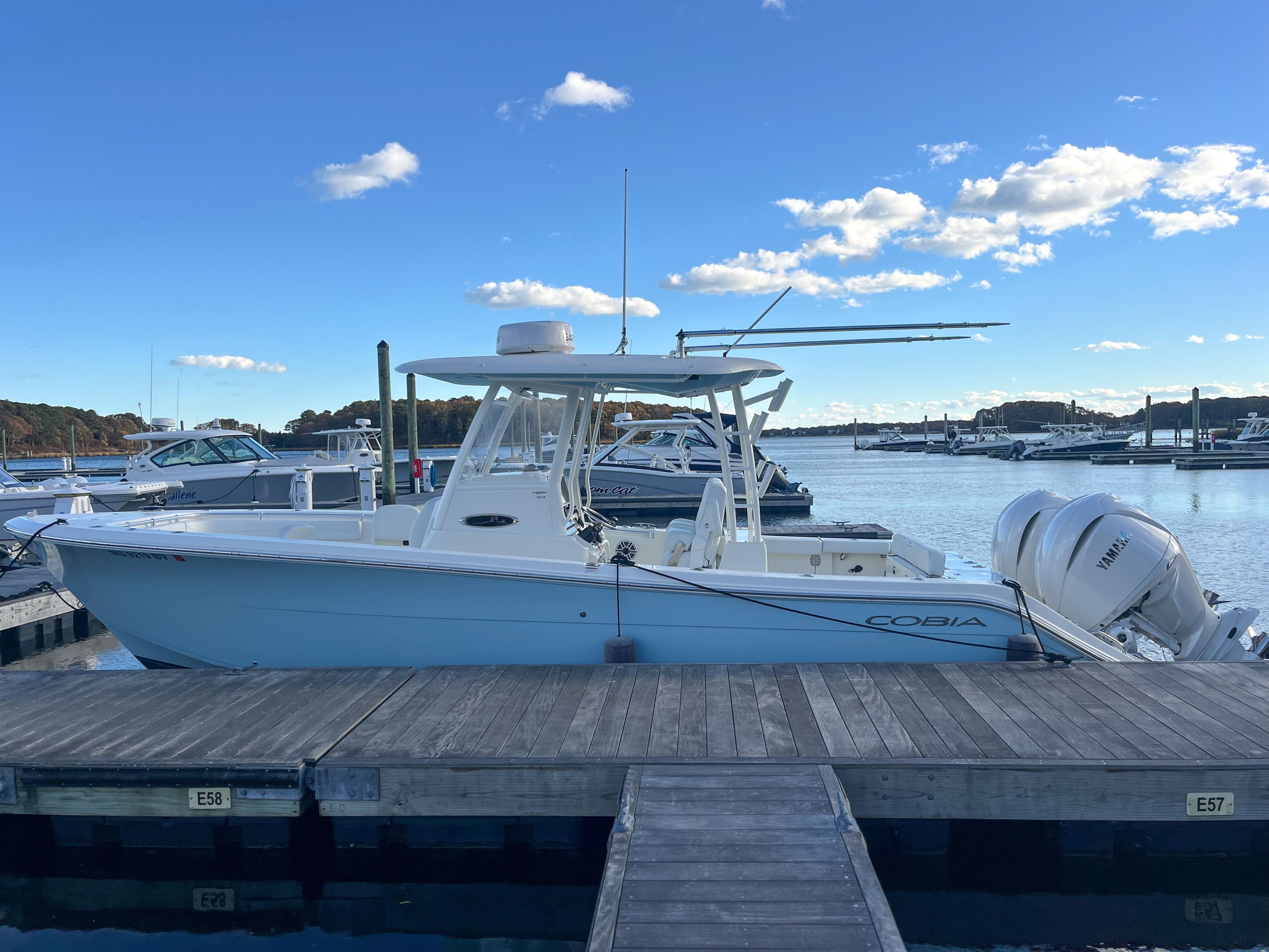 2024 COBIA 301 CC - Image 2