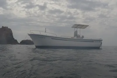 2014 Fibramar Golfiño 595