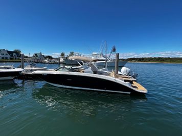Sea Ray SDX 290
