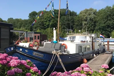 1900 Custom Hagenaar