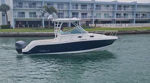 Robalo R305 Walkaround