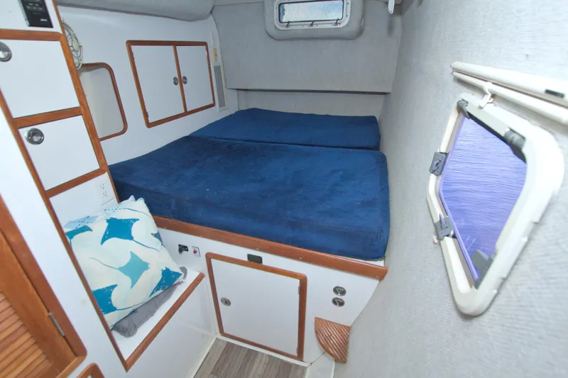 Scout Yacht Photos Pics Cozy cabin interior of 1996 Manta 40 sailboat with blue bedding and storage.