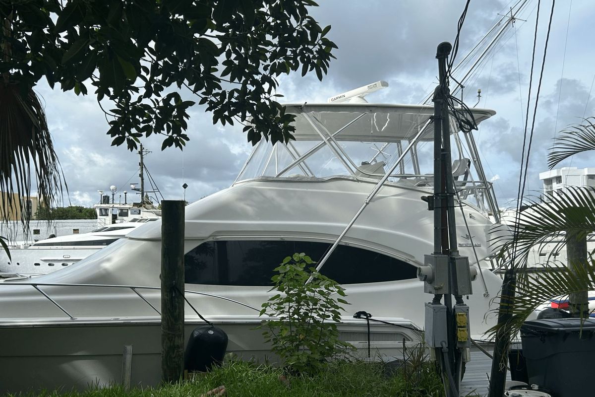 2008 Bertram 45 