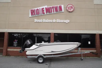 Bayliner Element M17