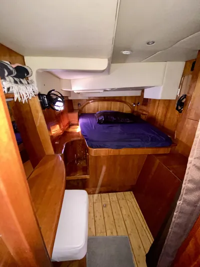 Rattlesnake Yacht Photos Pics 