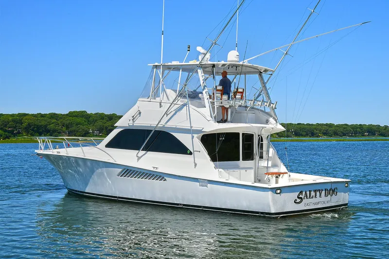 Salty Dog Yacht Photos Pics 2002 Viking 48 Convertible yacht on calm water, clear sky, side view.