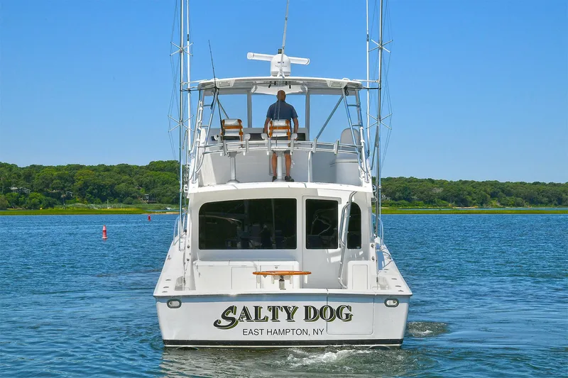 Salty Dog Yacht Photos Pics 2002 Viking 48 Convertible yacht "Salty Dog" cruising in East Hampton waters.