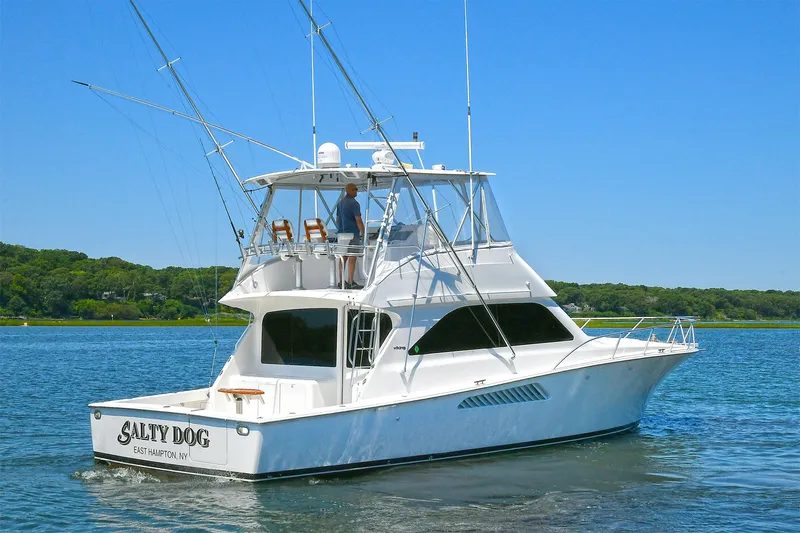Salty Dog Yacht Photos Pics 2002 Viking 48 Convertible yacht on calm water, clear sky, lush shoreline.