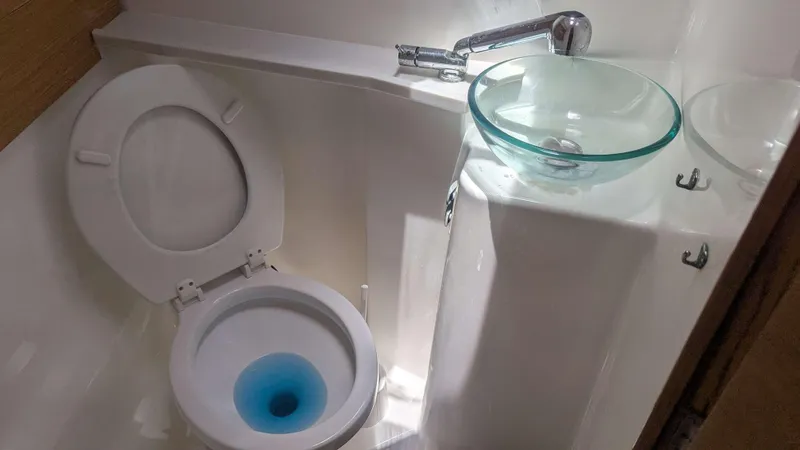 Nevis Yacht Photos Pics Bathroom in 2017 Dufour 460 Grand Large yacht with toilet and glass sink.