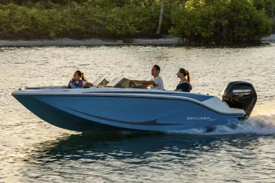 Bayliner Element M17