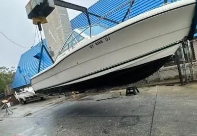 Pursuit 2460 Denali