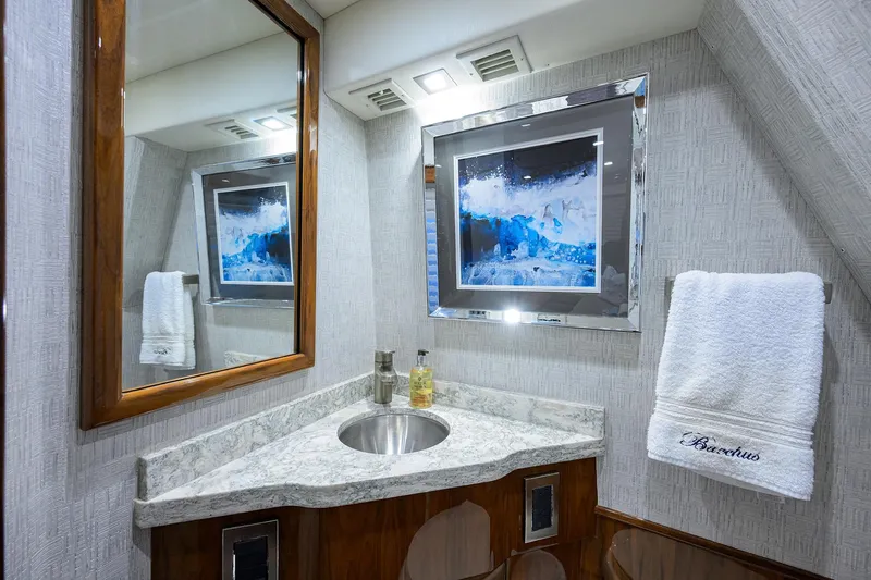 Bacchus Yacht Photos Pics Viking 72 Bacchus - Interior Crew Head