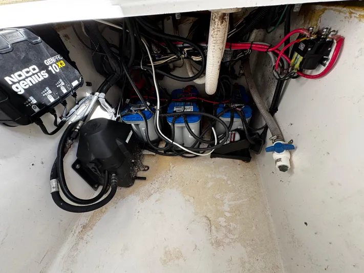 No Stress Yacht Photos Pics 