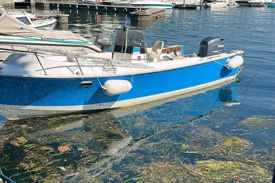 1980 Aquasport 222 sc