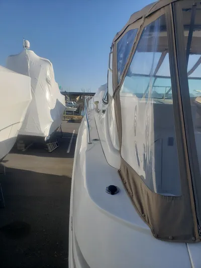 Swing Shift Yacht Photos Pics 