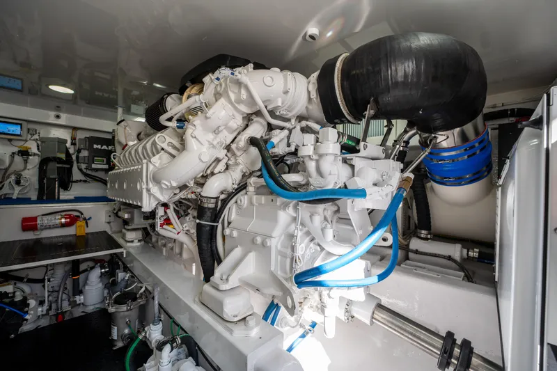 Cabo Chaos Yacht Photos Pics 