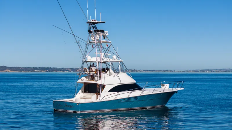 Cabo Chaos Yacht Photos Pics 