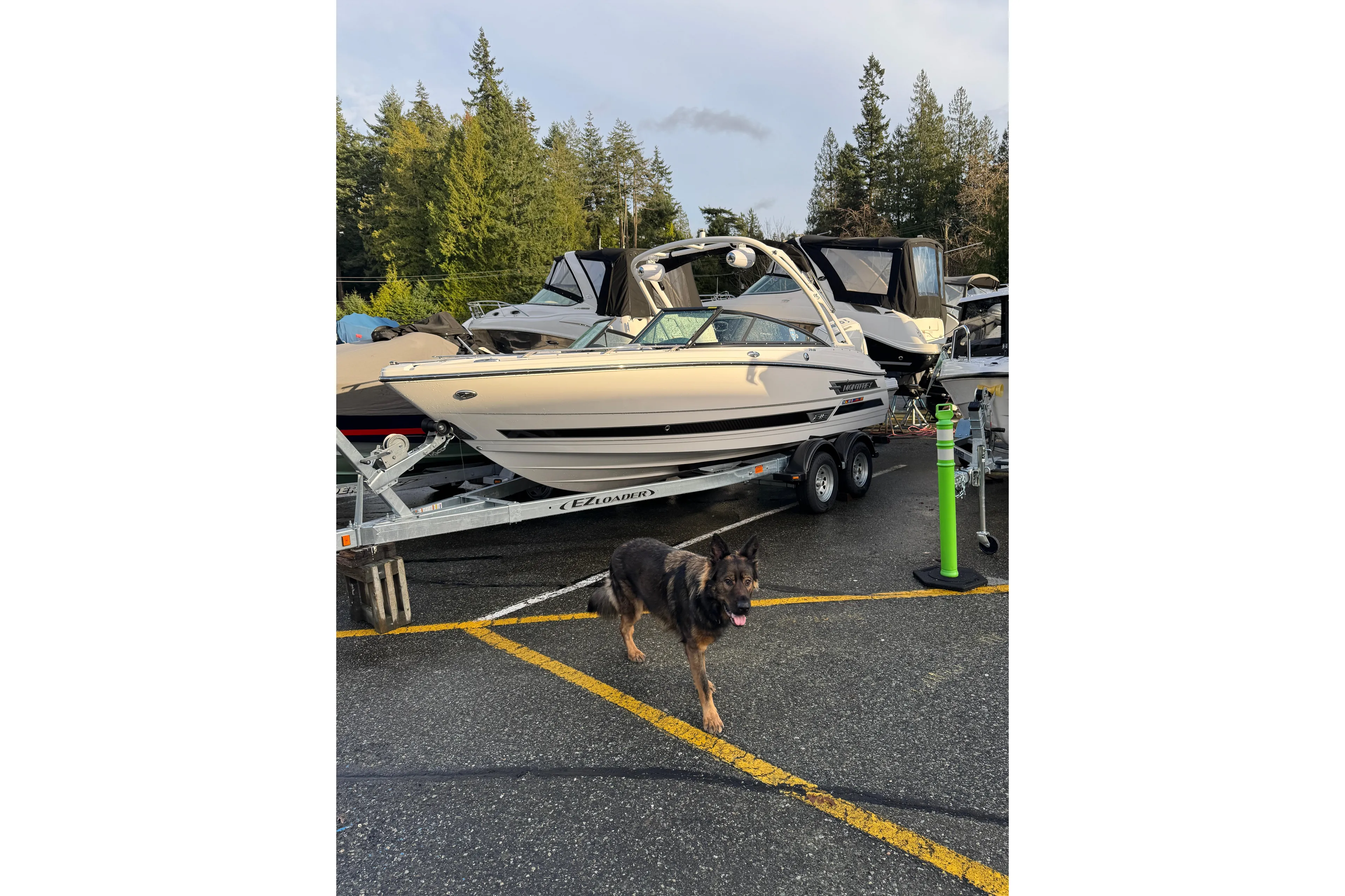 Monterey 215SS Super Sport