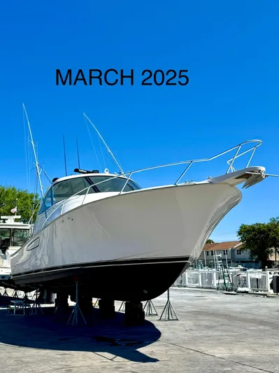 Abigail Yacht Photos Pics 