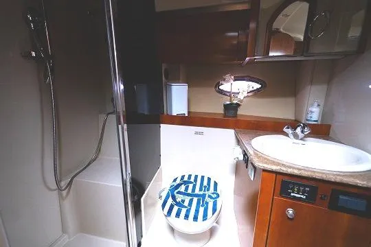  Yacht Photos Pics 2008 Cruisers 420 Express bathroom with shower, sink, and nautical-themed toilet seat.