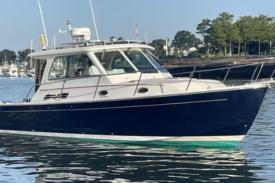 Back Cove 33