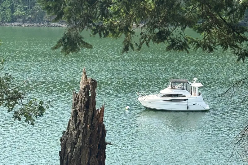 Alta Levica Yacht Photos Pics 2006 Meridian 368 Motoryacht anchored on serene lake with lush forest backdrop.