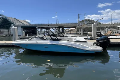 Sea Ray SPX 210 Outboard