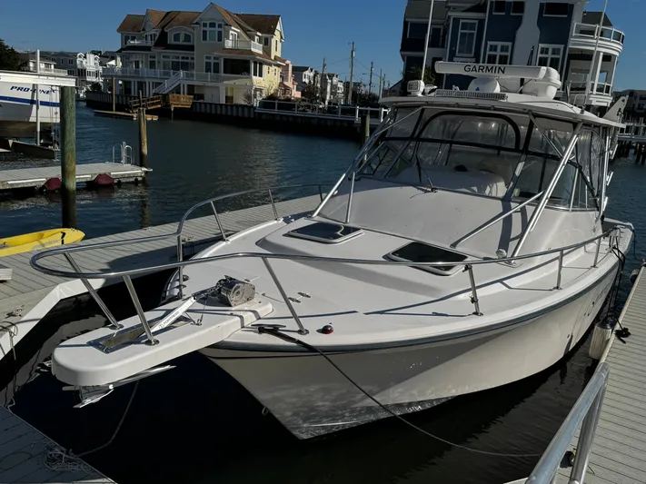 Southern Cross Yacht Photos Pics 