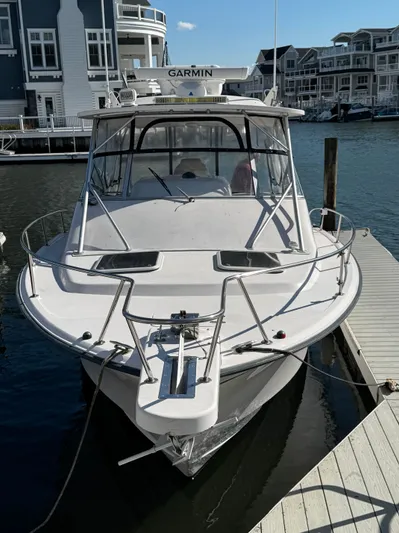 Southern Cross Yacht Photos Pics 