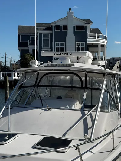 Southern Cross Yacht Photos Pics 