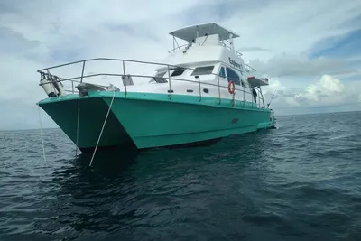 2018 Catamaran power boat