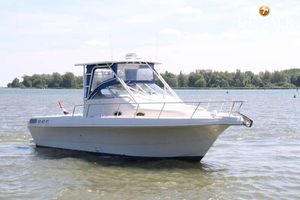 1998 Pro-Line 29 Walkaround Mid Cabin