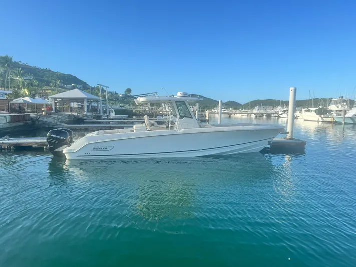  Yacht Photos Pics 2017 Boston Whaler 330 Outrage boat docked in a serene marina setting.