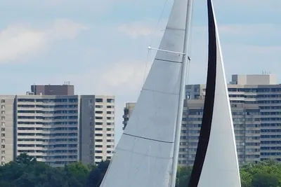 Hunter 310