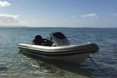 Rib-X xp 590