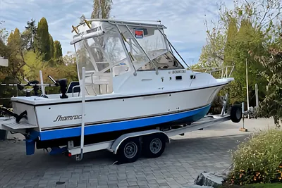 Shamrock 260 Express