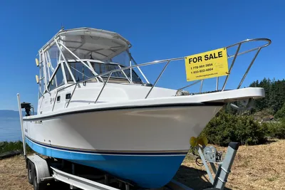 Shamrock 260 Express