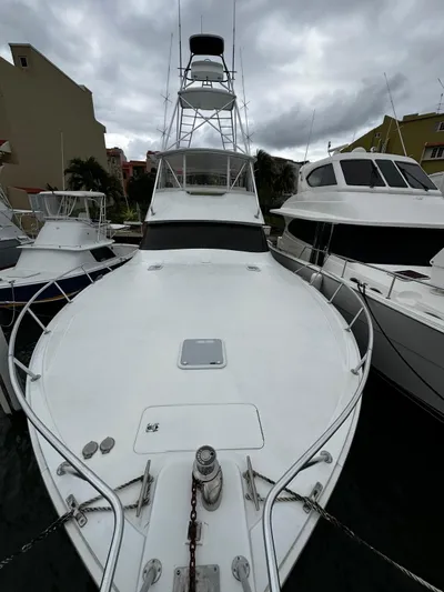  Yacht Photos Pics 2003 Viking 52 yacht docked, front view, overcast sky, surrounded by other boats.