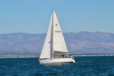 Catalina 320