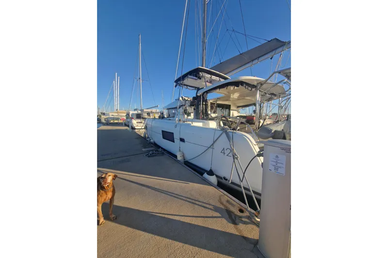 Eadan Doire Yacht Photos Pics 2017 Lagoon 42 catamaran docked at marina with a dog nearby.