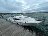 1990 Sea Ray Sundancer 220