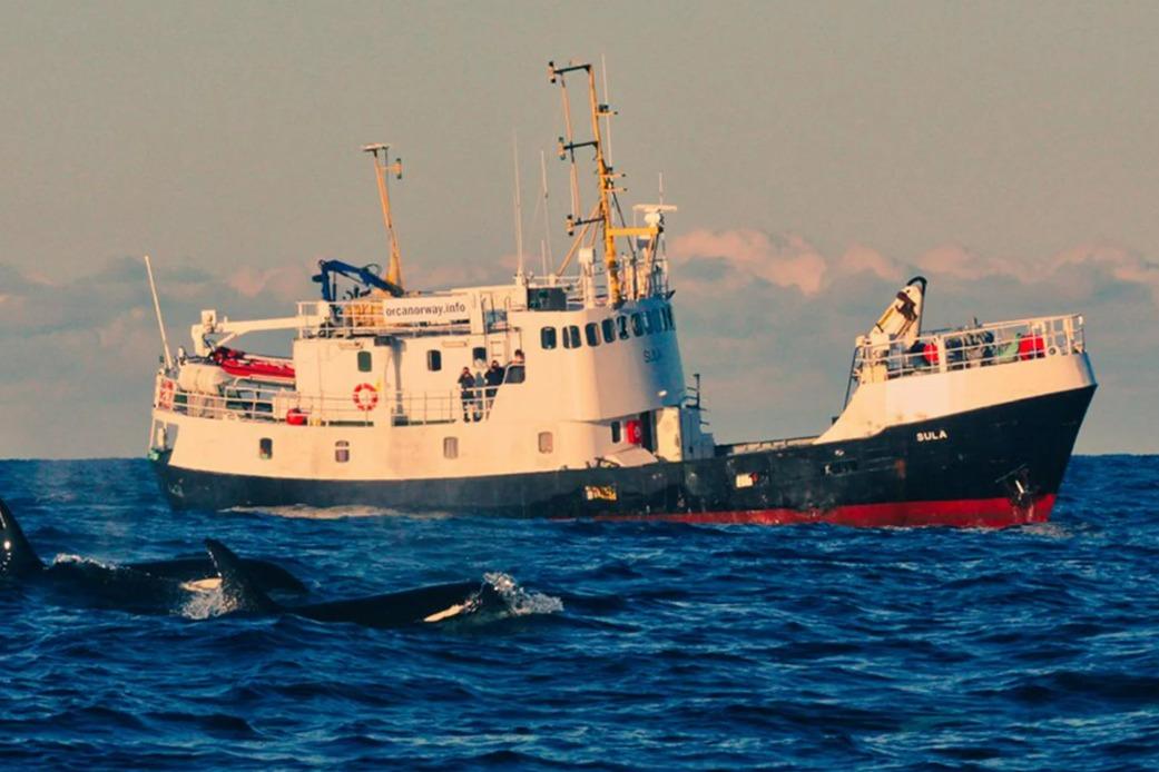 1967 Custom North Sea Trawler