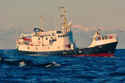 1967 Custom North Sea Trawler